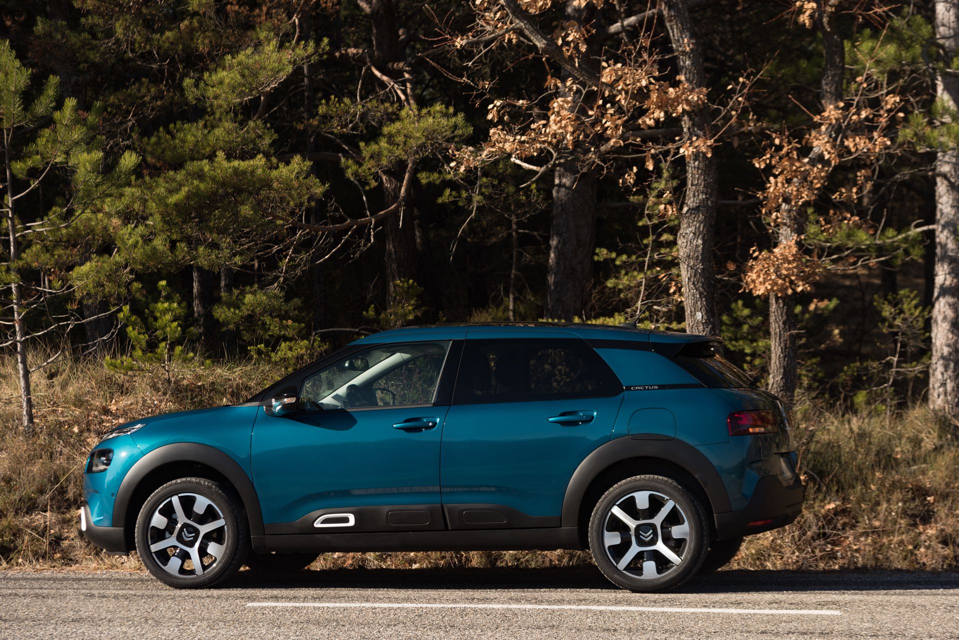 Citroen C4 Cactus 2018 laterale sinistra statica su strada