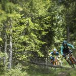 Scott_Genius900_action_2017_02