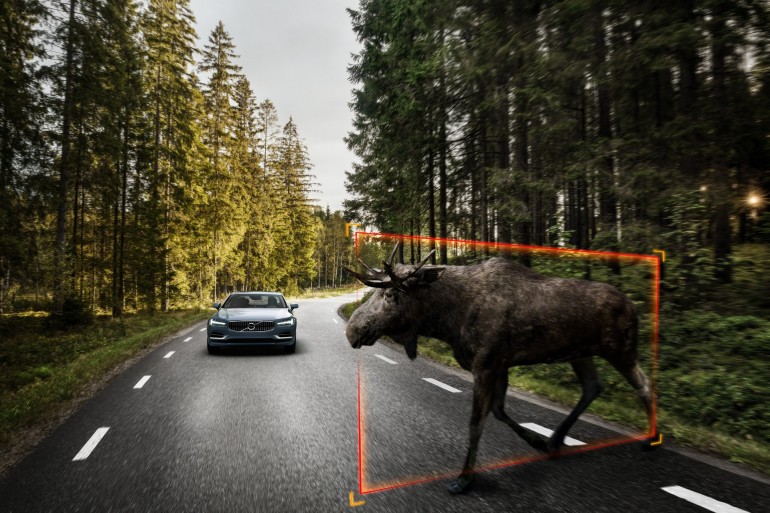 Exterior Large Animal Detection Volvo S90 1