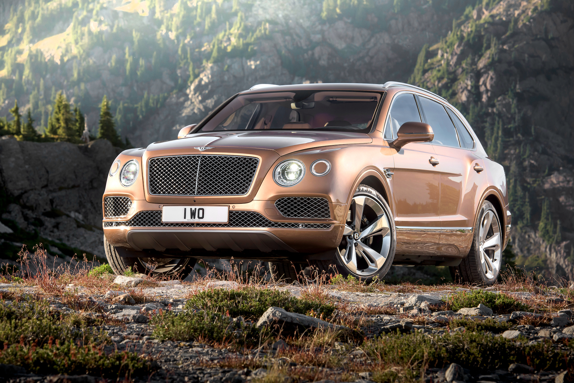 bentley_bentayga bronze