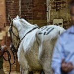 Mazda-MX5-Siena_0006