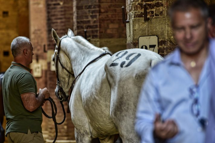 Mazda-MX5-Siena_0006