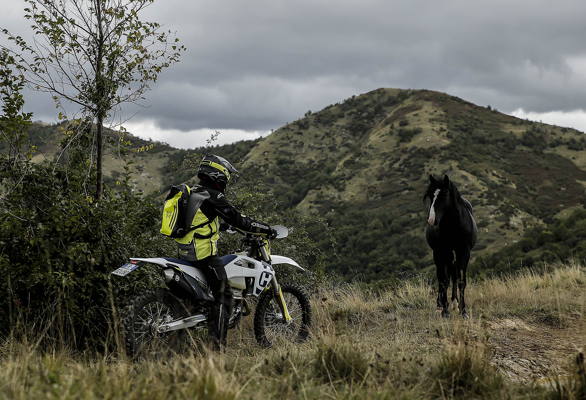 HUSQVARNA-FE-250-2020-18