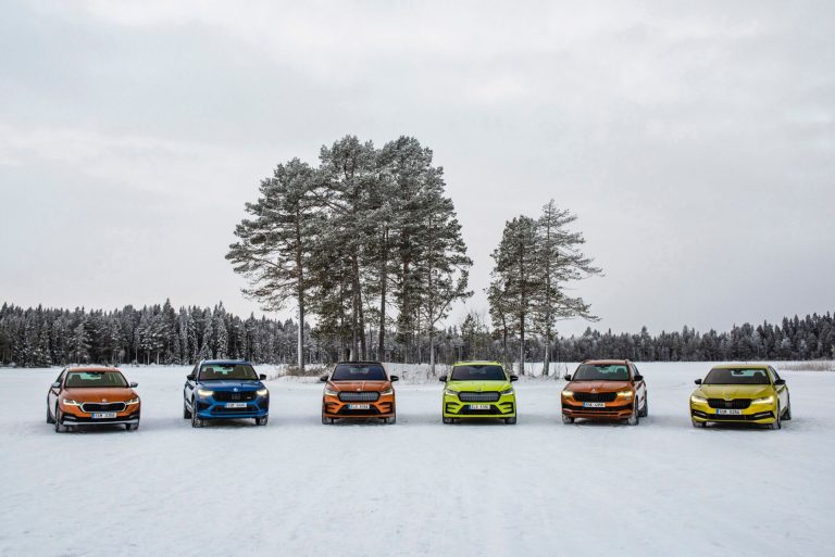 Gamma Skoda 4x4 trazione integrale